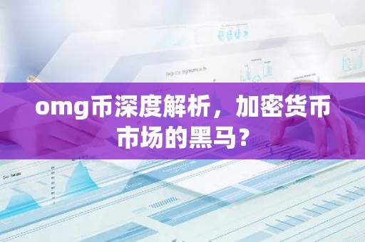 omg币深度解析，加密货币市场的黑马？