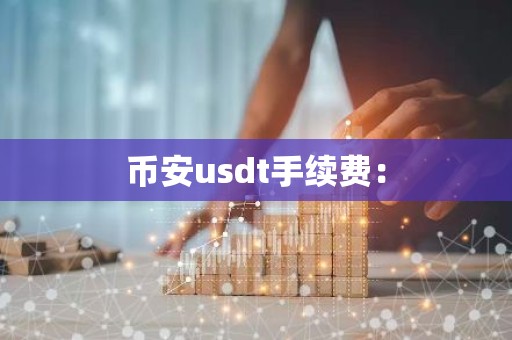 币安usdt手续费：