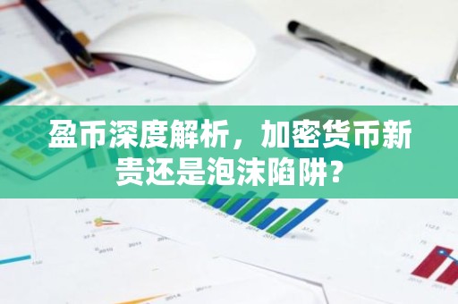 盈币深度解析，加密货币新贵还是泡沫陷阱？