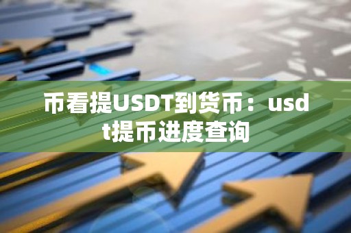 币看提USDT到货币：usdt提币进度查询