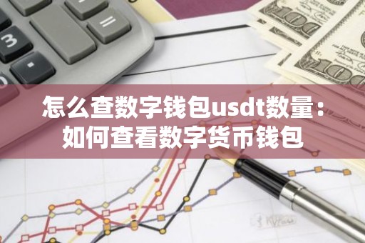 怎么查数字钱包usdt数量：如何查看数字货币钱包