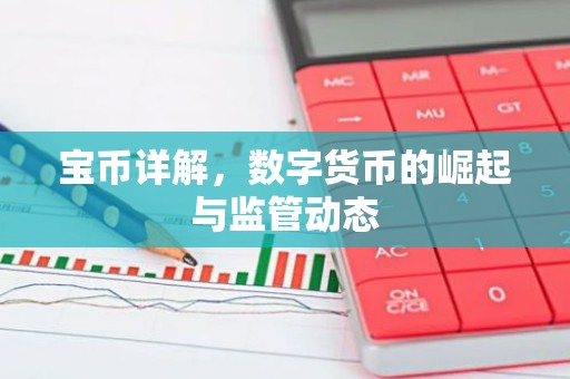 宝币详解，数字货币的崛起与监管动态