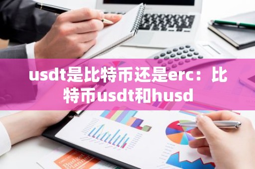 usdt是比特币还是erc：比特币usdt和husd