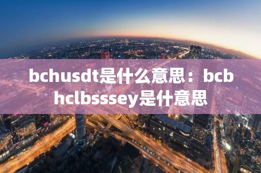 bchusdt是什么意思：bcbhclbsssey是什意思