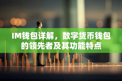IM钱包详解，数字货币钱包的领先者及其功能特点
