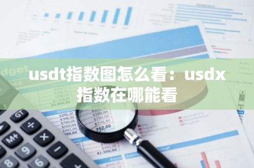 usdt指数图怎么看：usdx指数在哪能看