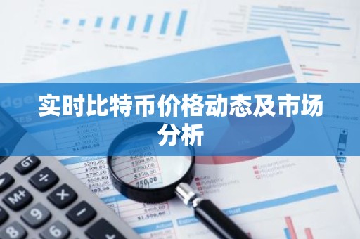 实时比特币价格动态及市场分析