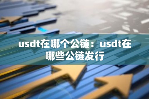 usdt在哪个公链：usdt在哪些公链发行
