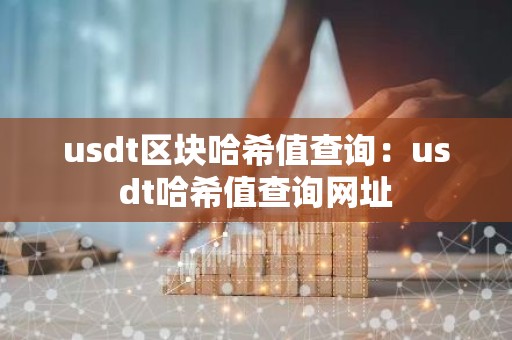 usdt区块哈希值查询：usdt哈希值查询网址
