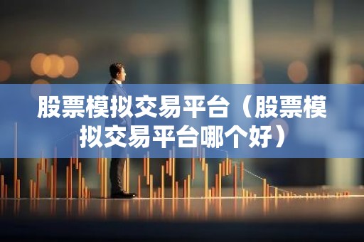 股票模拟交易平台（股票模拟交易平台哪个好）