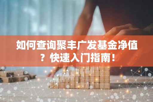 如何查询聚丰广发基金净值？快速入门指南！