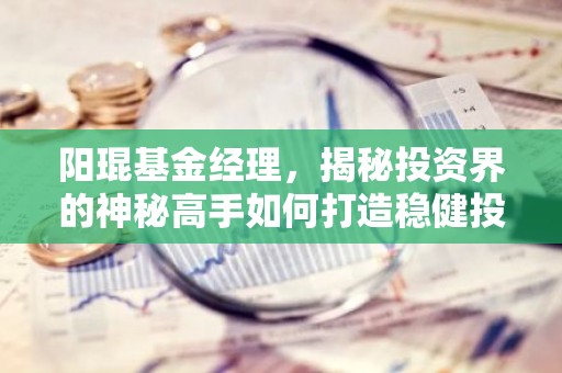 阳琨基金经理，揭秘投资界的神秘高手如何打造稳健投资组合
