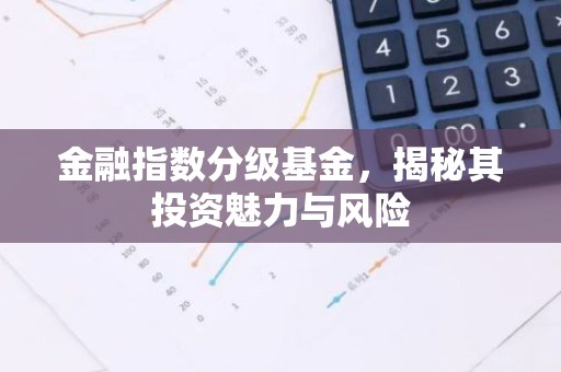 金融指数分级基金，揭秘其投资魅力与风险