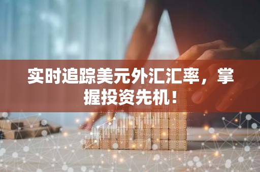 实时追踪美元外汇汇率，掌握投资先机！