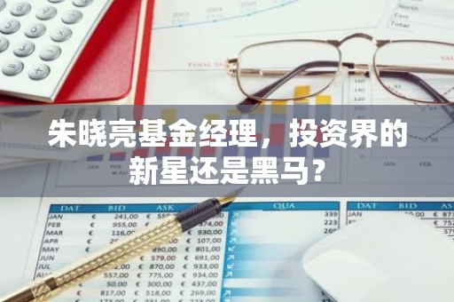 朱晓亮基金经理，投资界的新星还是黑马？