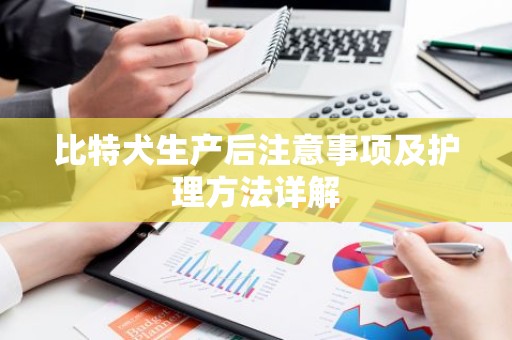比特犬生产后注意事项及护理方法详解