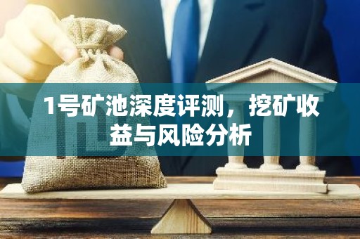 1号矿池深度评测，挖矿收益与风险分析