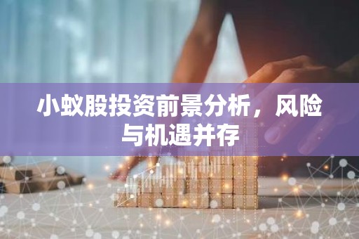 小蚁股投资前景分析，风险与机遇并存