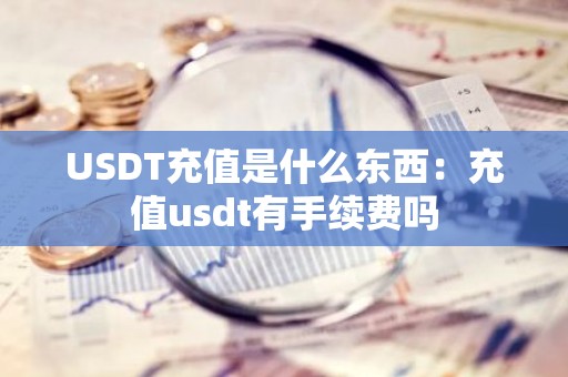 USDT充值是什么东西：充值usdt有手续费吗