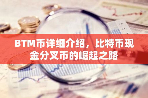 BTM币详细介绍，比特币现金分叉币的崛起之路