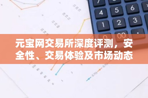 元宝网交易所深度评测，安全性、交易体验及市场动态解析