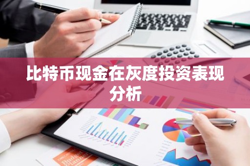 比特币现金在灰度投资表现分析