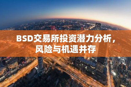 BSD交易所投资潜力分析，风险与机遇并存