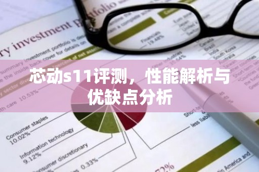 芯动s11评测，性能解析与优缺点分析