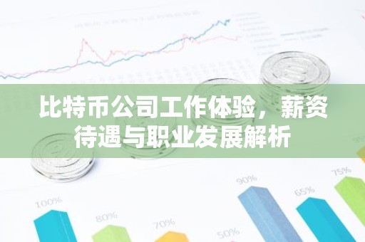 比特币公司工作体验，薪资待遇与职业发展解析