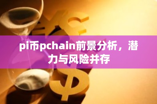 pi币pchain前景分析，潜力与风险并存