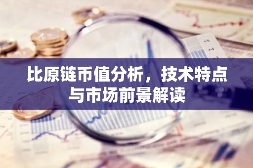 比原链币值分析，技术特点与市场前景解读