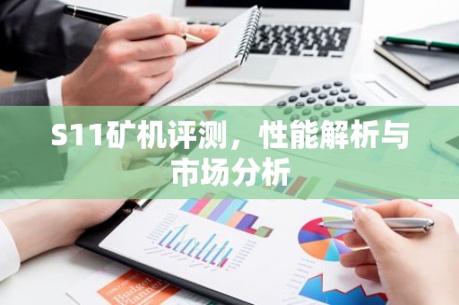 S11矿机评测，性能解析与市场分析