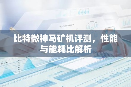 比特微神马矿机评测，性能与能耗比解析