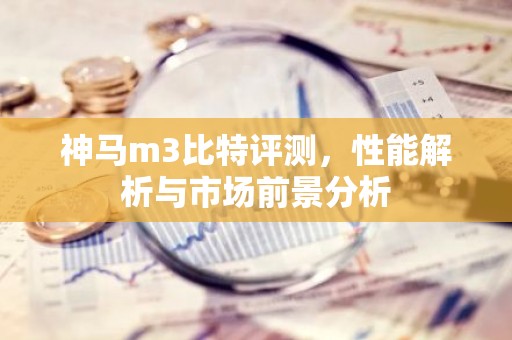 神马m3比特评测，性能解析与市场前景分析