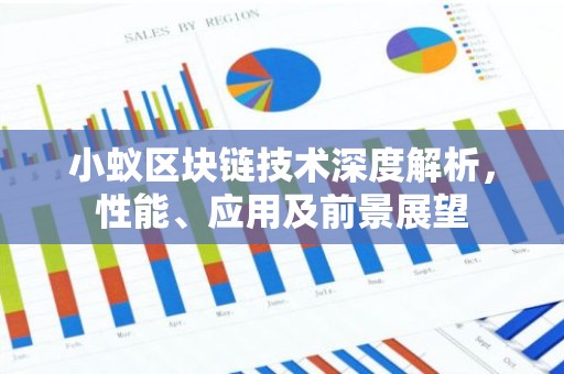 小蚁区块链技术深度解析，性能、应用及前景展望