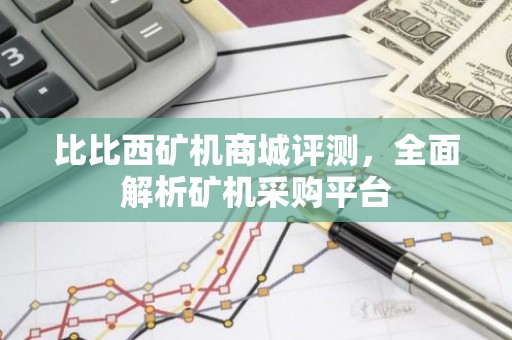 比比西矿机商城评测，全面解析矿机采购平台