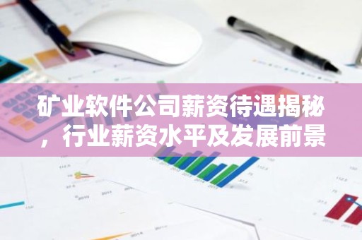 矿业软件公司薪资待遇揭秘，行业薪资水平及发展前景