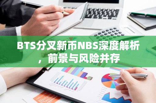 BTS分叉新币NBS深度解析，前景与风险并存
