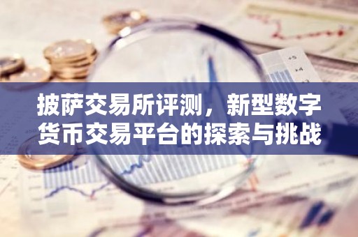披萨交易所评测，新型数字货币交易平台的探索与挑战