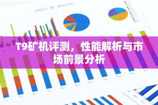 T9矿机评测，性能解析与市场前景分析