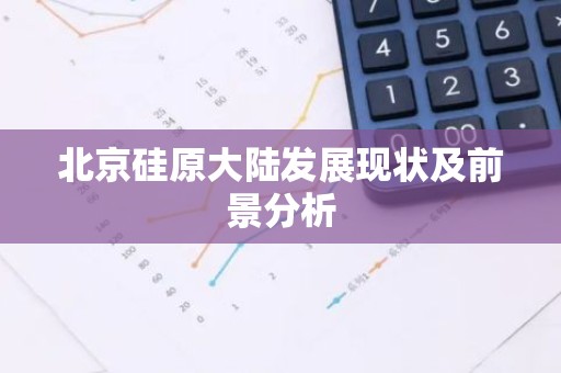 北京硅原大陆发展现状及前景分析