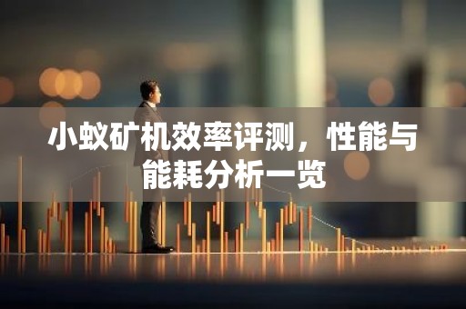 小蚁矿机效率评测，性能与能耗分析一览