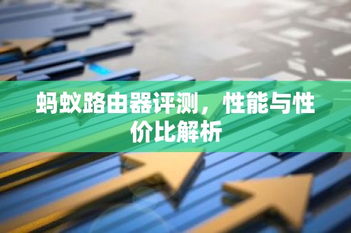 蚂蚁路由器评测，性能与性价比解析