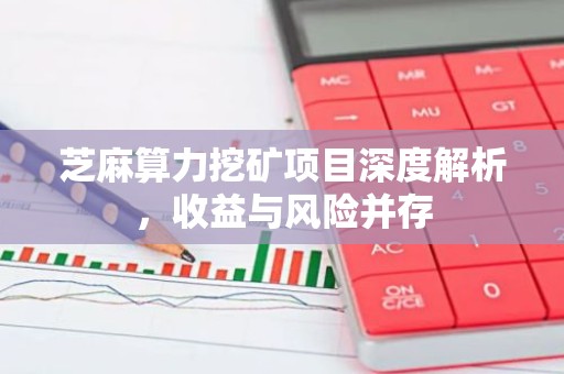 芝麻算力挖矿项目深度解析，收益与风险并存