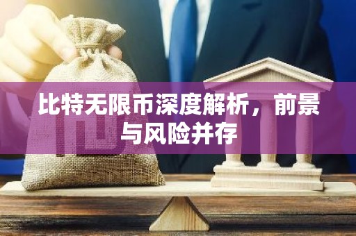 比特无限币深度解析，前景与风险并存