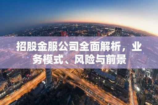 招股金服公司全面解析，业务模式、风险与前景