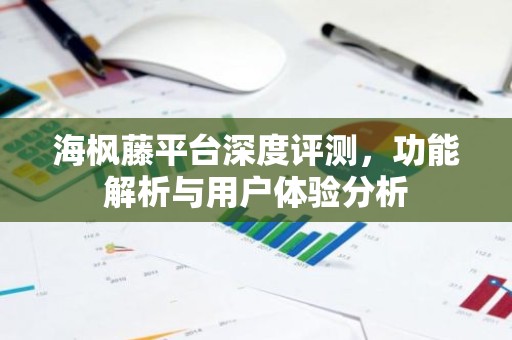 海枫藤平台深度评测，功能解析与用户体验分析