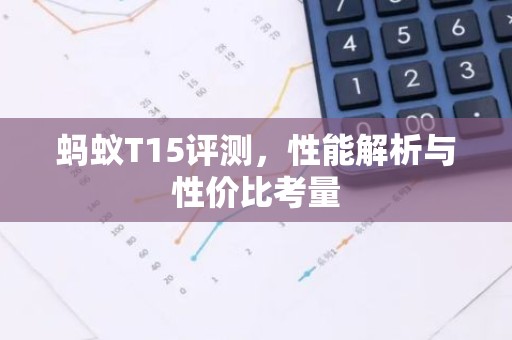 蚂蚁T15评测，性能解析与性价比考量