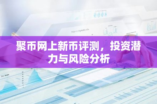 聚币网上新币评测，投资潜力与风险分析