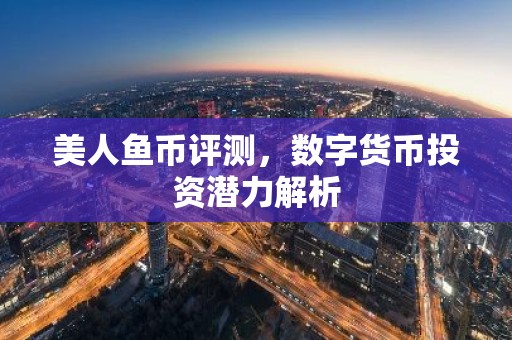 美人鱼币评测，数字货币投资潜力解析
